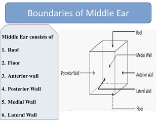 Middle Ear Rectangular Room Middle ear anatomy and physiology | PPTX