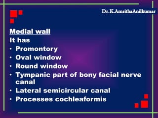 Medial wall
It has
• Promontory
• Oval window
• Round window
• Tympanic part of bony facial nerve
canal
• Lateral semicircular canal
• Processes cochleaformis
 