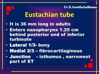 Eustachian tube
• It is 36 mm long in adults
• Enters nasopharynx 1.25 cm
behind posterior end of inferior
turbinate
• Lateral 1/3- bony
• Medial 2/3 – fibrocartilaginous
• Junction - isthumus , narrowest
part of ET
 