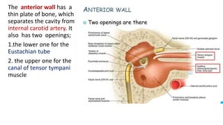 The Posterior Wall
Aditus A large irregular openining in its part, via which attic communicates with
the antrum.
Fossa i...