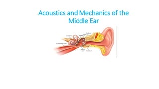 Acoustics and Mechanics of the
Middle Ear
 