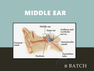 MIDDLE EAR
B BATCH
 