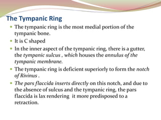 Middle Ear Anatomy.pptx
