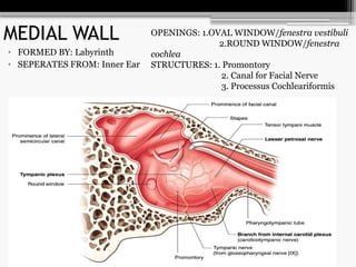 MIDDLE EAR SURGICAL ANATOMY .pptx