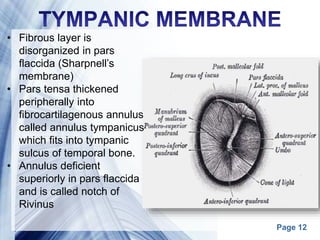 Page 12
• Fibrous layer is
disorganized in pars
flaccida (Sharpnell’s
membrane)
• Pars tensa thickened
peripherally into
fibrocartilagenous annulus
called annulus tympanicus
which fits into tympanic
sulcus of temporal bone.
• Annulus deficient
superiorly in pars flaccida
and is called notch of
Rivinus
 