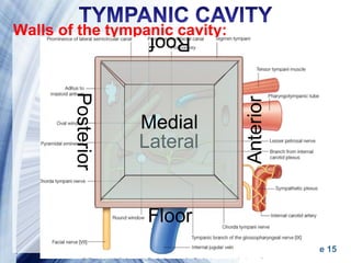 Page 15
Walls of the tympanic cavity:
Lateral
Medial
Posterior
Anterior
Roof
Floor
 