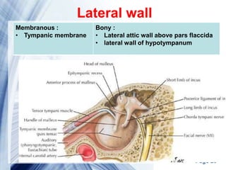 Page 20
Lateral wall
Bony :
• Lateral attic wall above pars flaccida
• lateral wall of hypotympanum
Membranous :
• Tympanic membrane
 