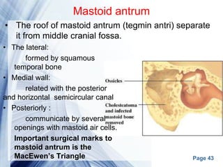 Page 43
Mastoid antrum
• The lateral:
formed by squamous
temporal bone
• Medial wall:
related with the posterior
and horizontal semicircular canal
• Posteriorly :
communicate by several
openings with mastoid air cells.
Important surgical marks to
mastoid antrum is the
MacEwen’s Triangle
• The roof of mastoid antrum (tegmin antri) separate
it from middle cranial fossa.
 