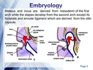 Page 5
Malleus and incus are derived from mesoderm of the first
arch while the stapes develop from the second arch except its
footplate and annular ligament which are derived from the ottic
capsule.
 
