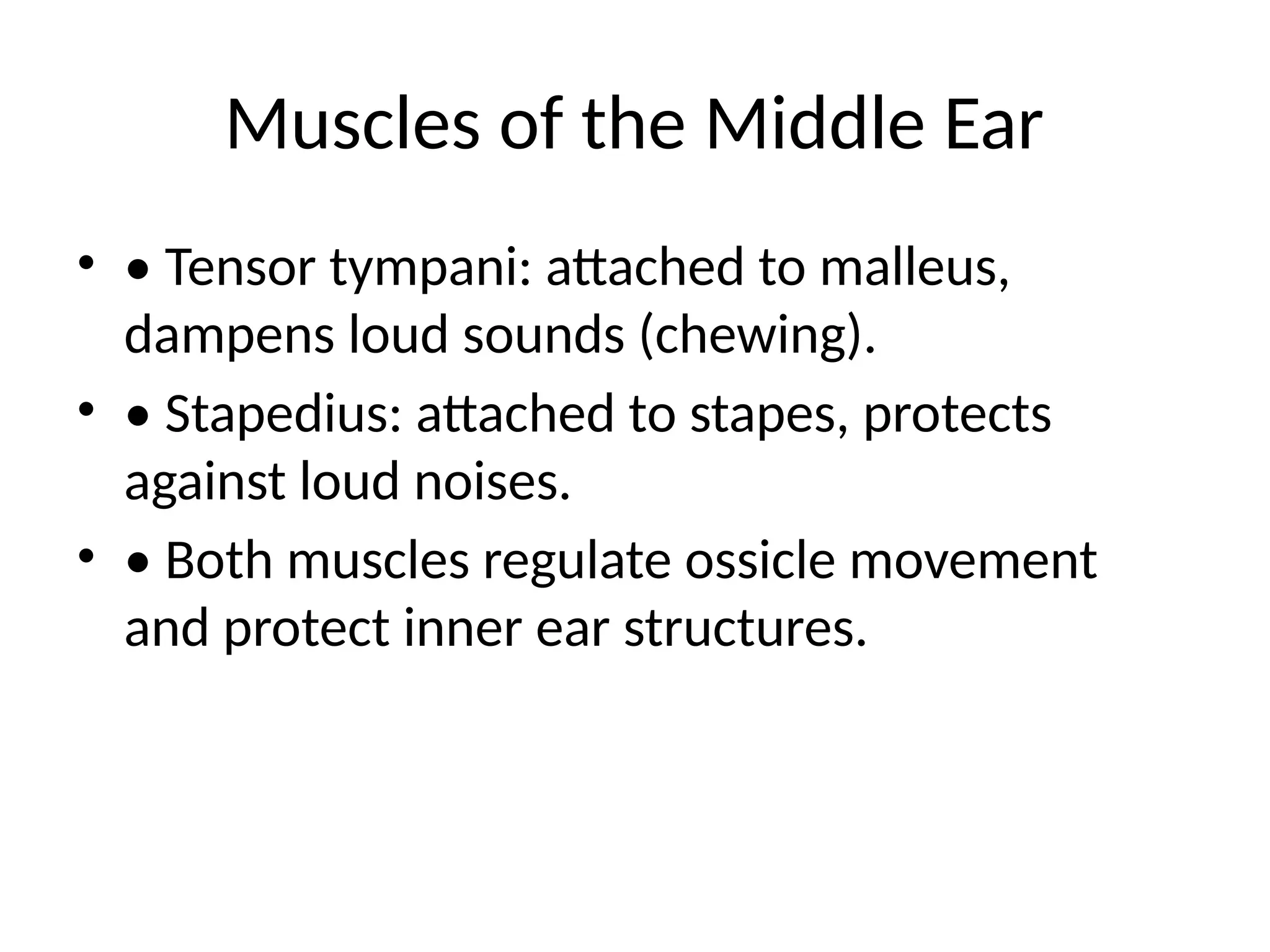 Human_Middle_Ear_Anatomy_Presentation.pptx