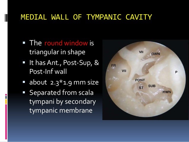 Middle ear anatomy raju 1 (2) final 1