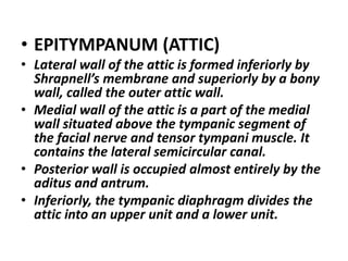 Middle ear__anatom_ytuesday[1] | PPTX
