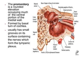 Pyramidal Prominence middle ear anatomy and eustachian tube dysfunction .pptx