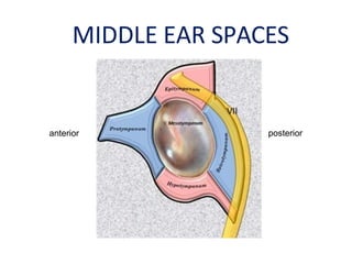 Middle Ear Rectangular Room middle ear anatomy and eustachian tube dysfunction .pptx