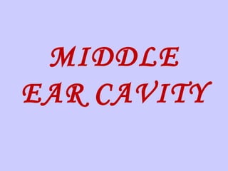 MIDDLE
EAR CAVITY
 