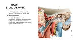 Middle Ear Rectangular Room Embryology and Anatomy of the Middle Ear | PPTX