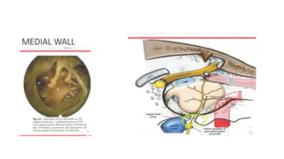 Middle Ear Rectangular Room Embryology and Anatomy of the Middle Ear | PPTX