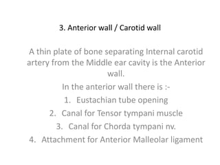 3. Anterior wall / Carotid wall
A thin plate of bone separating Internal carotid
artery from the Middle ear cavity is the Anterior
wall.
In the anterior wall there is :-
1. Eustachian tube opening
2. Canal for Tensor tympani muscle
3. Canal for Chorda tympani nv.
4. Attachment for Anterior Malleolar ligament
 