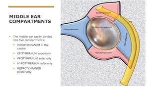 middle ear spaces and mucosal folds Otorhinolaryngology | PPTX