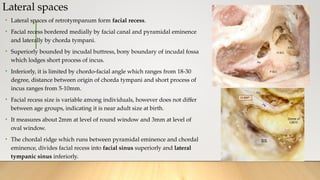Space Behind R Ear Middle Ear Spaces Anatomy and Clinical Aspect.pptx