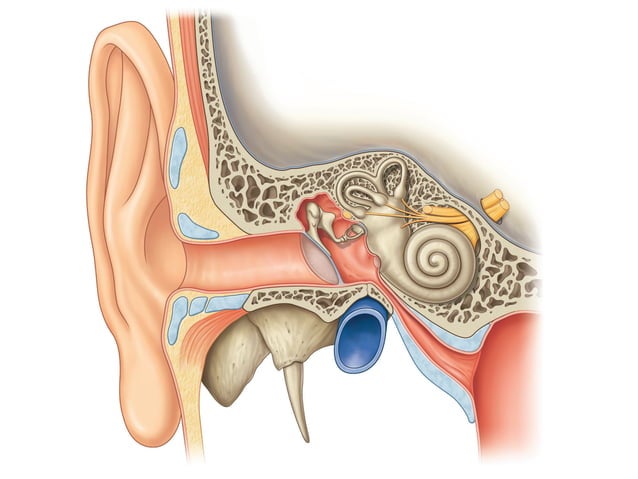 Middle Ear Surgery.pdf
