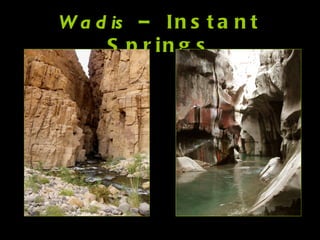 Wadis  – Instant Springs 
