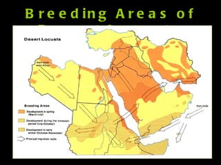 Breeding Areas of Desert Locusts 