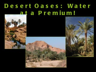 Desert Oases:  Water at a Premium! 