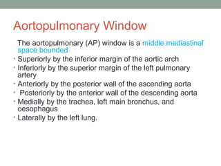Aortopulmonary Window
The aortopulmonary (AP) window is a middle mediastinal
space bounded
• Superiorly by the inferior margin of the aortic arch
• Inferiorly by the superior margin of the left pulmonary
artery
• Anteriorly by the posterior wall of the ascending aorta
• Posteriorly by the anterior wall of the descending aorta
• Medially by the trachea, left main bronchus, and
oesophagus
• Laterally by the left lung.
 