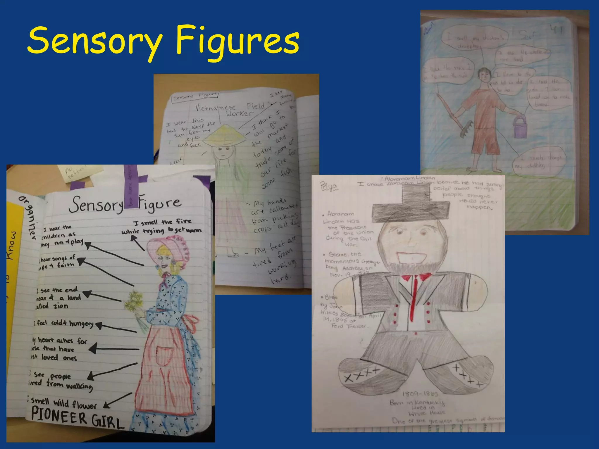Sensory Figures
 