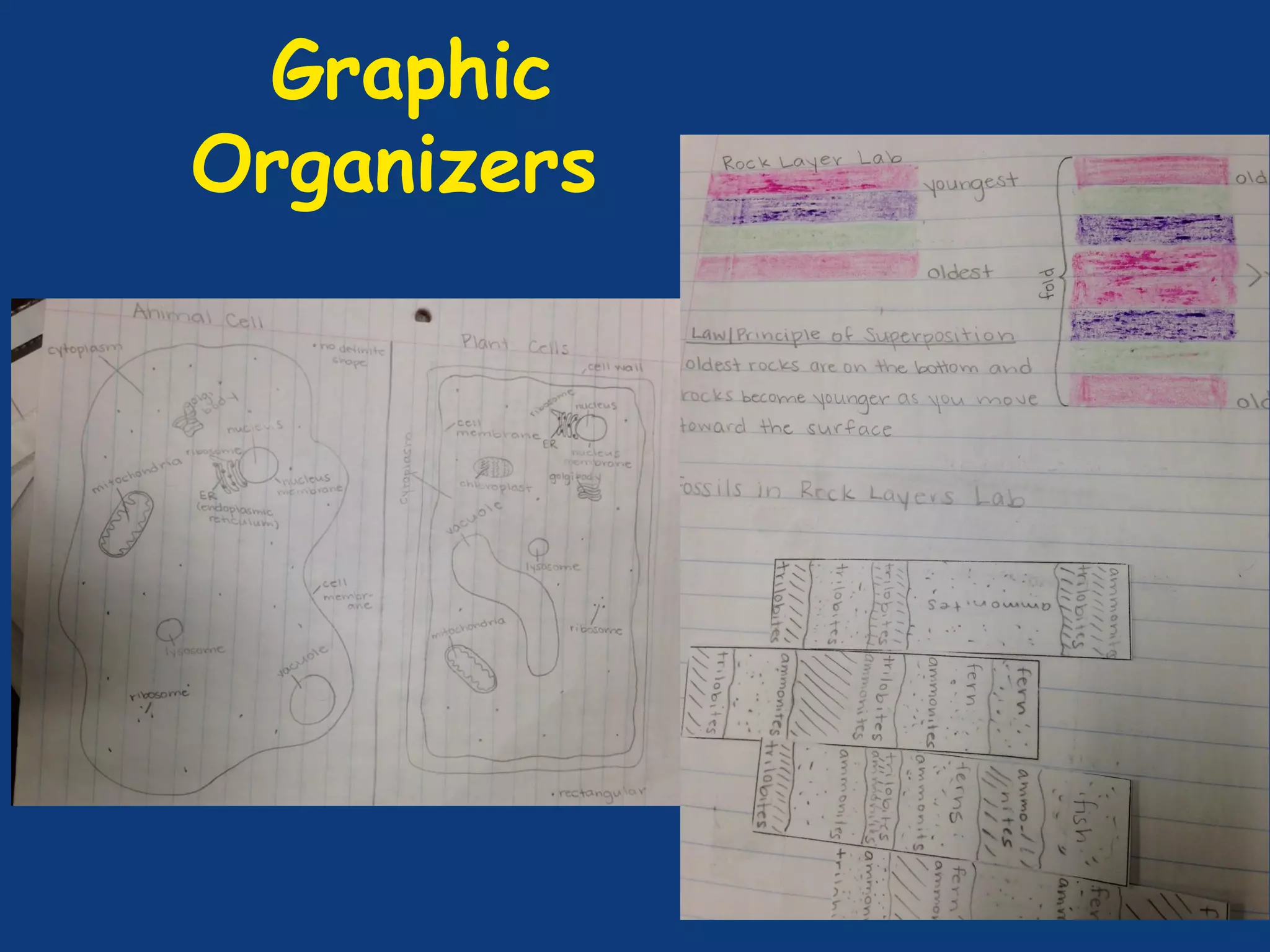 Graphic
Organizers
 