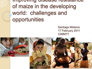 Improving disease resistance
                     of maize in the developing
                     world: challenges and
                     opportunities
                                      Santiago Mideros
                                      17 February 2011
                                      CIMMYT




WFP/Elmer Martinez
 