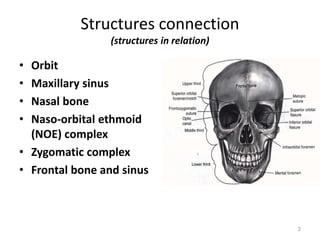 Structures connection
(structures in relation)
• Orbit
• Maxillary sinus
• Nasal bone
• Naso-orbital ethmoid
(NOE) complex
• Zygomatic complex
• Frontal bone and sinus
3
 