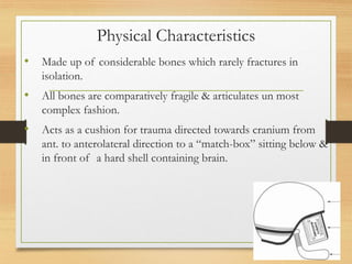 Physical Characteristics
• Made up of considerable bones which rarely fractures in
isolation.
• All bones are comparatively fragile & articulates un most
complex fashion.
• Acts as a cushion for trauma directed towards cranium from
ant. to anterolateral direction to a “match-box” sitting below &
in front of a hard shell containing brain.
10
 