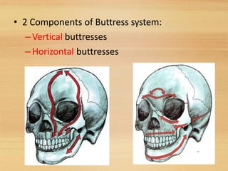 • 2 Components of Buttress system:
–Vertical buttresses
–Horizontal buttresses
7
 