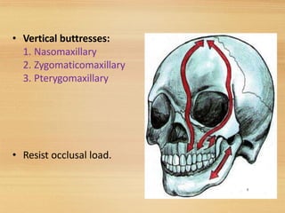 • Vertical buttresses:
1. Nasomaxillary
2. Zygomaticomaxillary
3. Pterygomaxillary
• Resist occlusal load.
8
 
