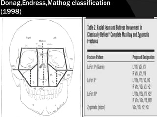 Donag,Endress,Mathog classification
(1998)

 