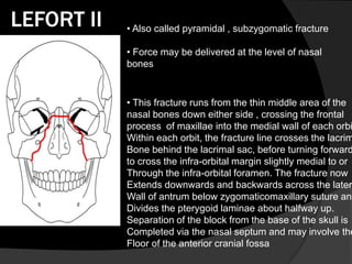 LEFORT II

• Also called pyramidal , subzygomatic fracture
• Force may be delivered at the level of nasal
bones

• This fracture runs from the thin middle area of the
nasal bones down either side , crossing the frontal
process of maxillae into the medial wall of each orbi
Within each orbit, the fracture line crosses the lacrim
Bone behind the lacrimal sac, before turning forward
to cross the infra-orbital margin slightly medial to or
Through the infra-orbital foramen. The fracture now
Extends downwards and backwards across the latera
Wall of antrum below zygomaticomaxillary suture and
Divides the pterygoid laminae about halfway up.
Separation of the block from the base of the skull is
Completed via the nasal septum and may involve the
Floor of the anterior cranial fossa

 