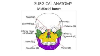 MIDFACE FRACTURES omfs mds final123.pptx