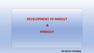 DEVELOPMENT OF MIDGUT
&
HINDGUT
DR NEETA CHHABRA 1
 