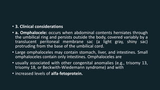 • 3. Clinical considerations
• a. Omphalocele: occurs when abdominal contents herniates through
the umbilical ring and persists outside the body, covered variably by a
translucent peritoneal membrane sac (a light gray, shiny sac)
protruding from the base of the umbilical cord.
• Large omphaloceles may contain stomach, liver, and intestines. Small
omphaloceles contain only intestines. Omphaloceles are
• usually associated with other congenital anomalies (e.g., trisomy 13,
trisomy 18, or Beckwith-Wiedemann syndrome) and with
• increased levels of alfa-fetoprotein.
 