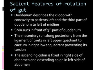 Salient features of rotation
of gut
 Duodenum describes the c loop with
concavity to patients left and the third part of
duodenum to left of midline
 SMA runs in front of 3rd part of duodenum
 The mesentery run along posteriorly from the
ligament of trietz in left upper quadrant to
caecum in right lower quadrant preventing its
torsion
 The ascending colon is fixed in right side of
abdomen and desending colon in left side of
abdomen
 