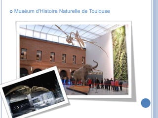 Université Toulouse II-Le Mirail 