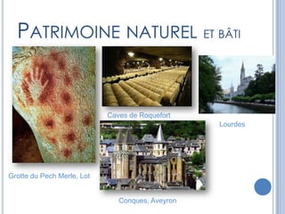 Université Toulouse III Démographie