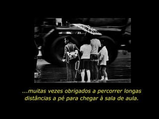 ...muitas vezes obrigados a percorrer longas
 distâncias a pé para chegar à sala de aula.
 