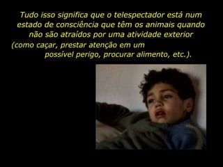 Tudo isso significa que o telespectador está num estado de consciência que têm os animais quando não são atraídos por uma atividade exterior (como caçar, prestar atenção em um  possível perigo, procurar alimento, etc.). 