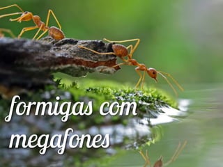 formigas com
megafones
 