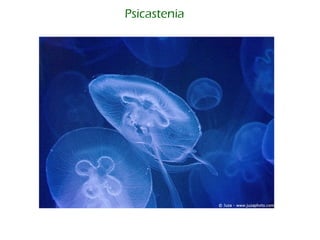 Psicastenia   