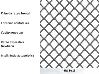 Crise da razao frontal Episteme aristotélica Cogito ergo sum  Razão explicativa Newtiana Inteligência autopoietica  