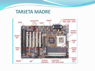 TARJETA MADRE
 